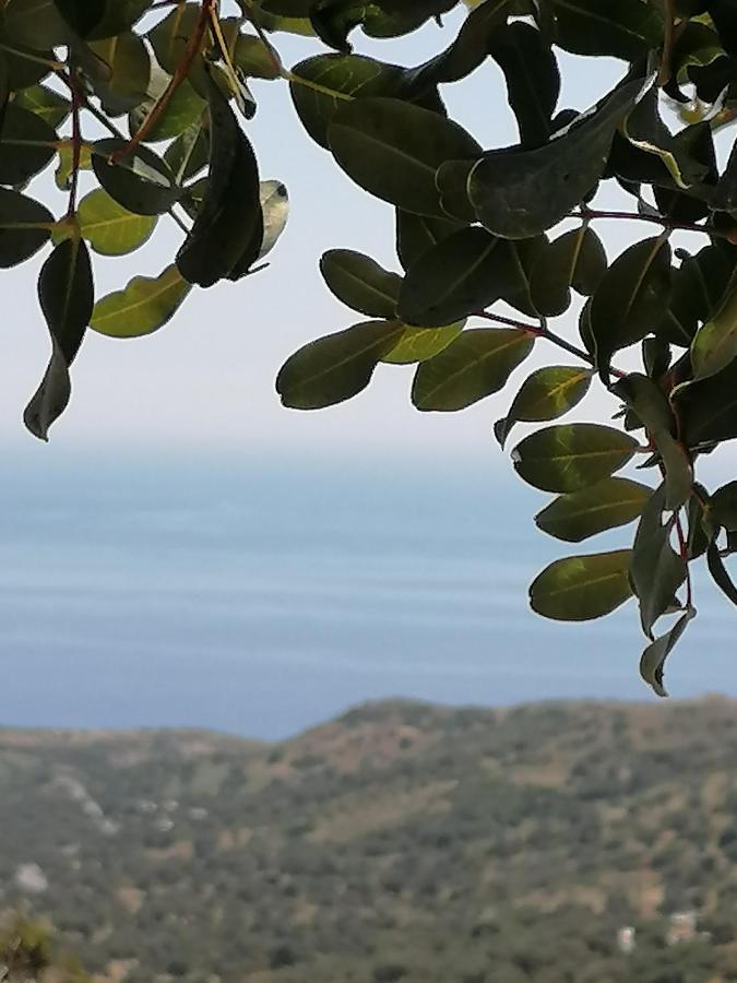 Villa Argyro Triopetra Esterno foto